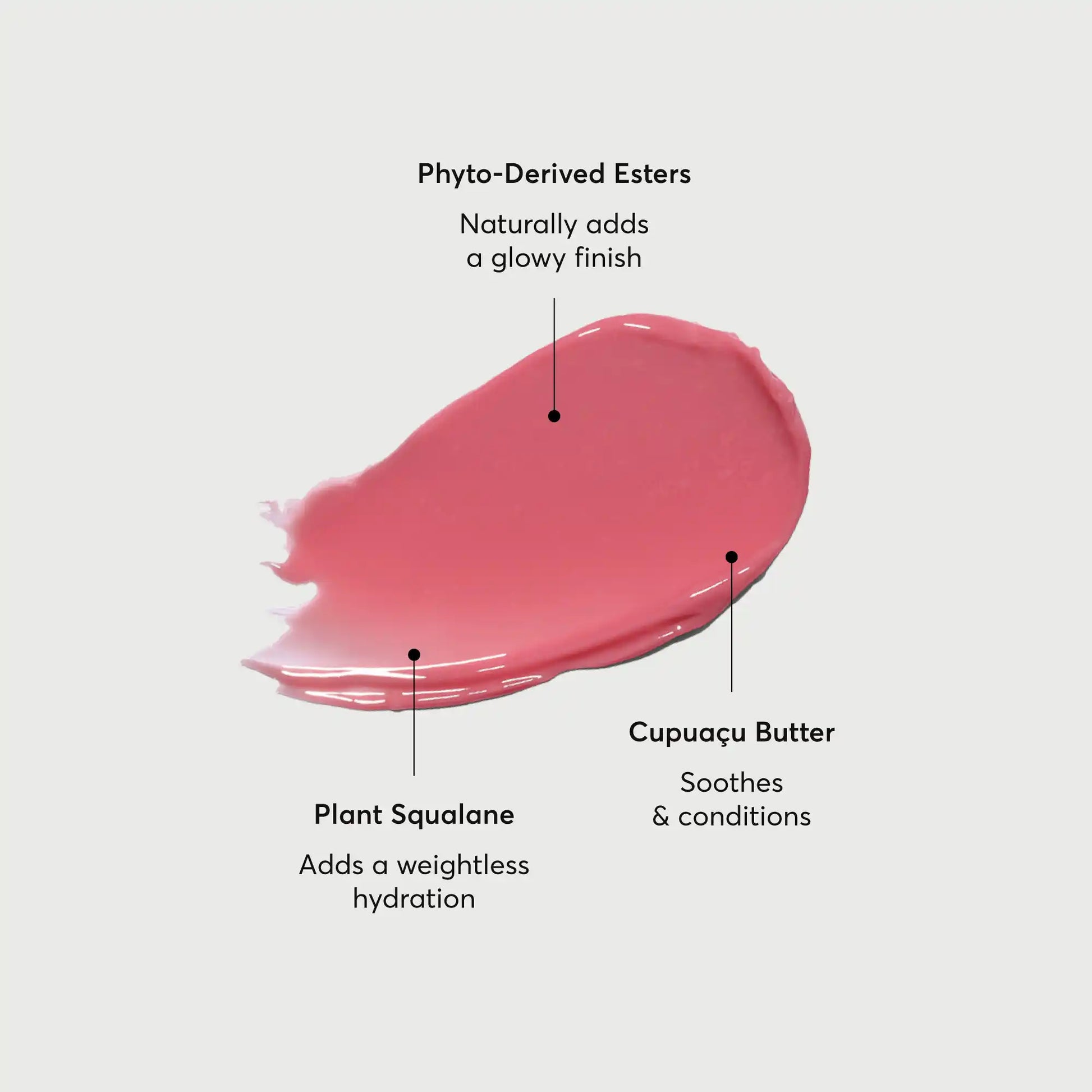 phyto-glow-lip-balm-petal-f1 NATR-60067-Alt-Images-Phyto-Glow-Lip-Balm-Petal-01.webp