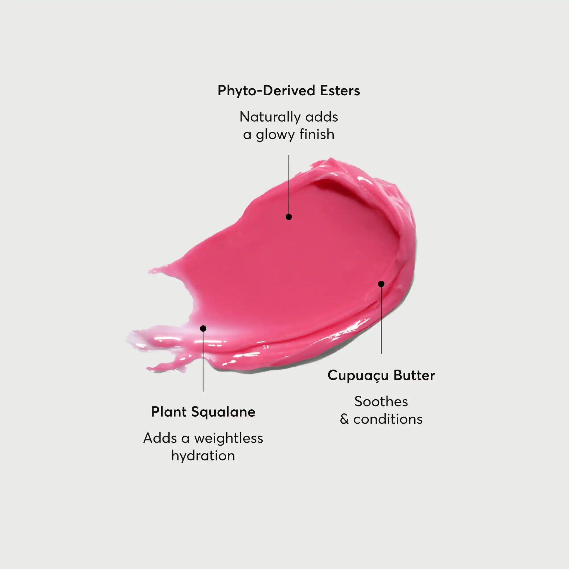 phyto-glow-lip-balm-camellia-r4 NATR-60075-Alt-Images-Phyto-Glow-Lip-Balm-Camellia-01.webp